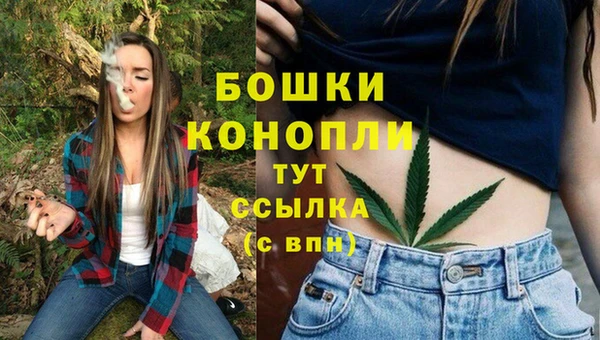 дурь Корсаков