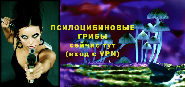 дурь Корсаков
